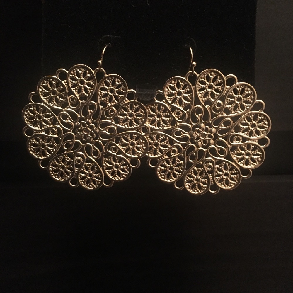 NWOT: Earrings (Beautiful Design)